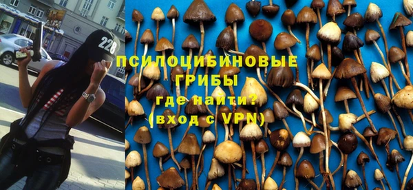 гидропоника Баксан