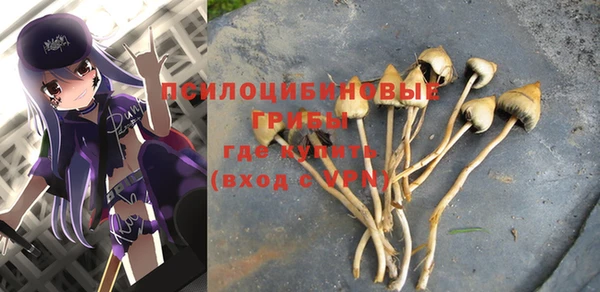 индика Армянск
