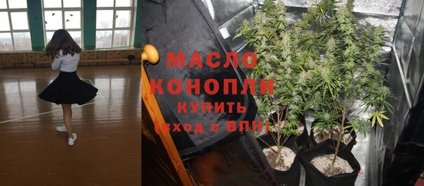 эйфоретик Арсеньев