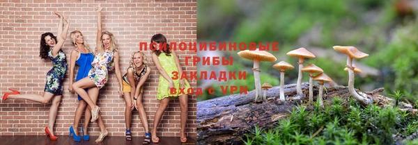 индика Армянск