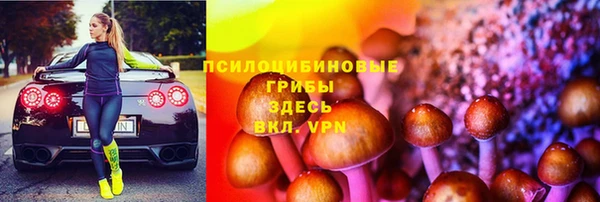 не бодяженный Аркадак