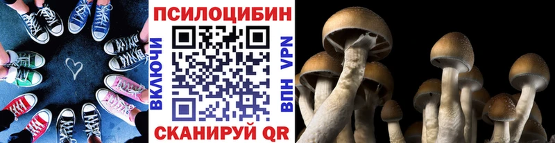 Псилоцибиновые грибы мухоморы  Дыгулыбгей 